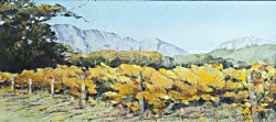 Franschhoek Valley - Autumn Vines | 2013 | Oil on Canvas | 46 X 64 cm